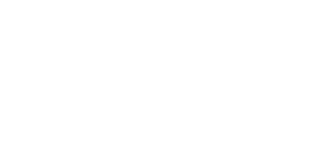 Strategic Asset Solution